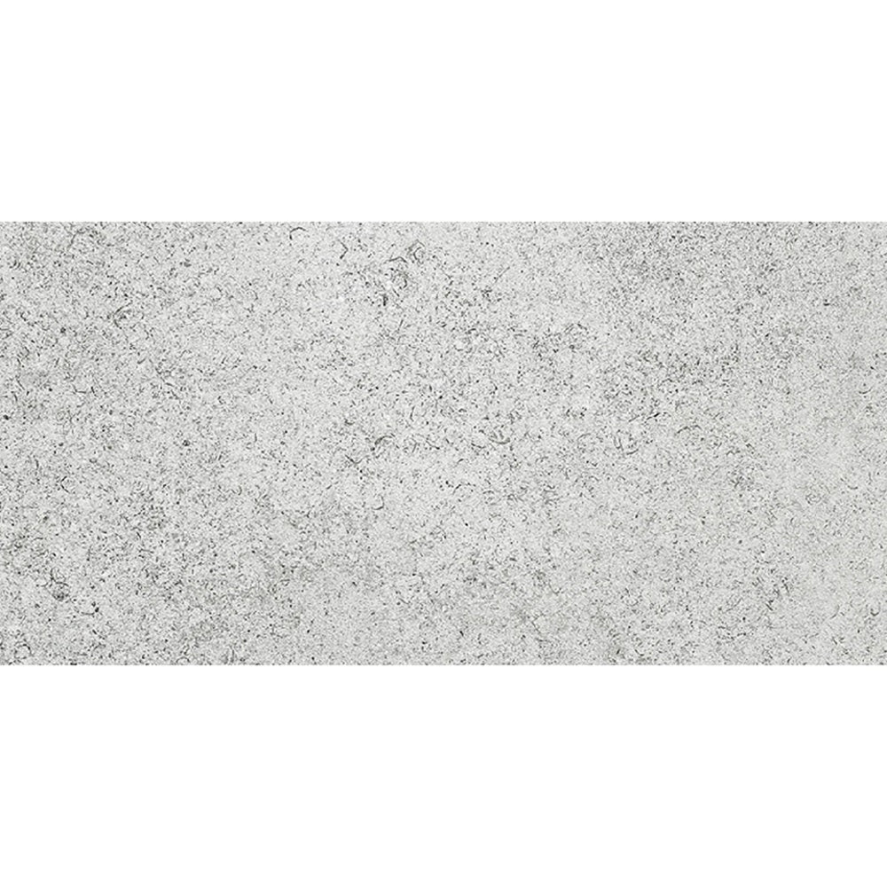 36REESVM RF1365 REEFSTONE SILVER MATT 300X600MM