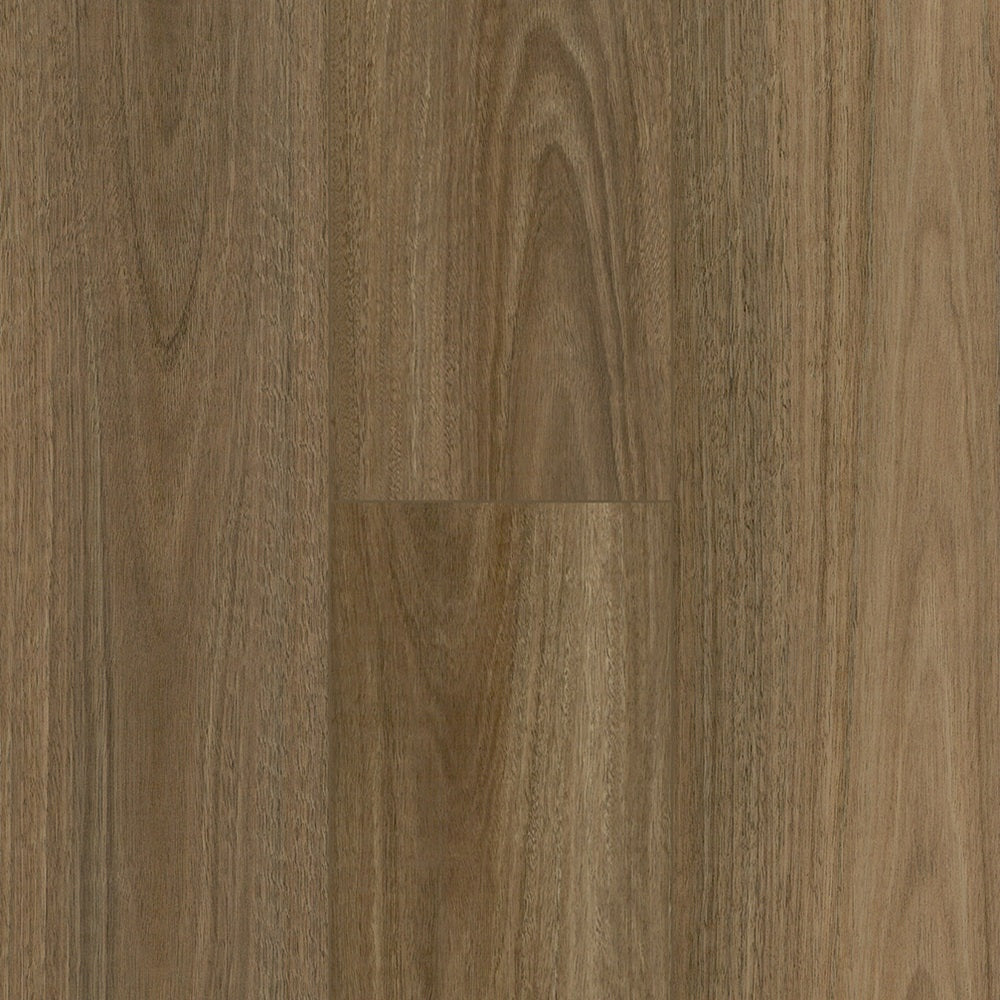 Floortex Pinaco NextGen Laminate floor - NP5501 Spotted Gum