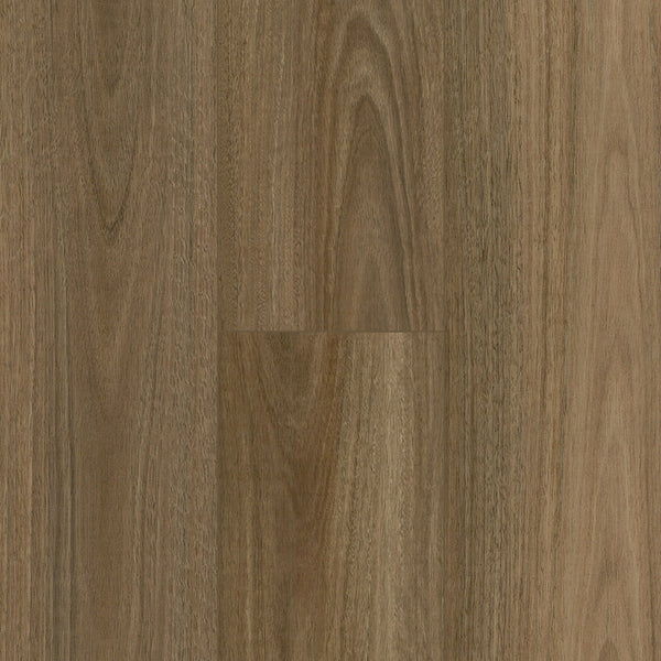 Floortex Pinaco NextGen Laminate floor - NP5501 Spotted Gum