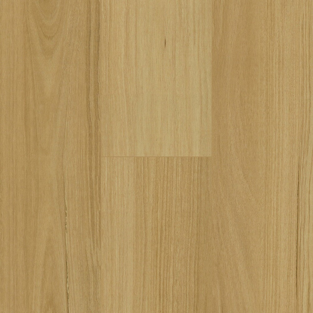 Floortex Pinaco NextGen Laminate floor - NP5502 Blackbutt