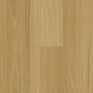 Floortex Pinaco NextGen Laminate floor - NP5502 Blackbutt