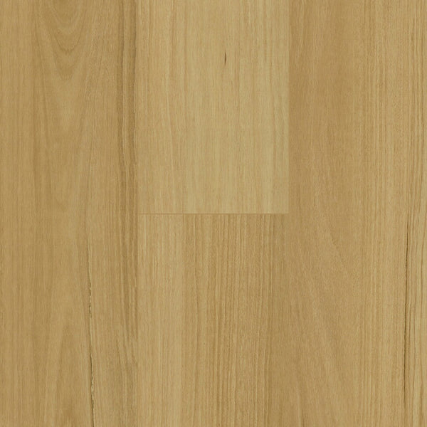 Floortex Pinaco NextGen Laminate floor - NP5502 Blackbutt