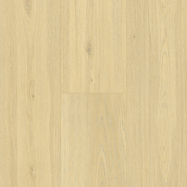 Floortex Pinaco NextGen Laminate floor - NP5503 Cheddar