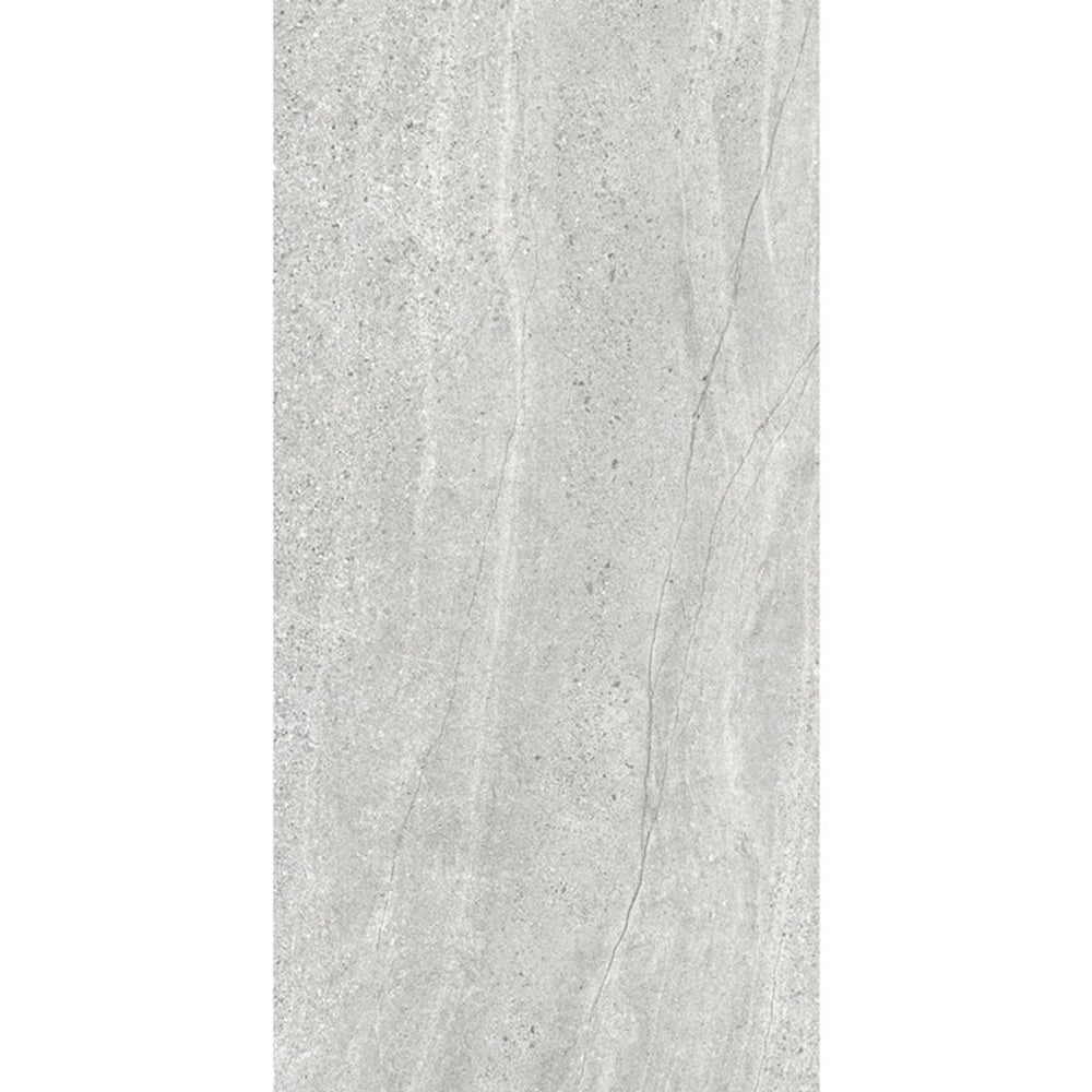 MAC0037 ASPEN SILVER MATT RECTIFIED 600X1200MM AS02