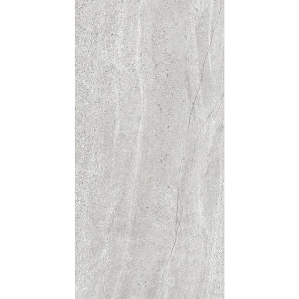 DSS Tile MAC0037 ASPEN SILVER MATT RECTIFIED 600X1200MM AS02