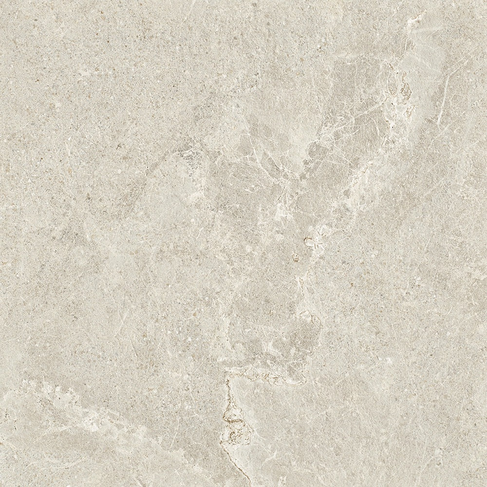6ARDGEX ADGS6022 ARDESIA GREIGE EXTERNAL P5 600X600