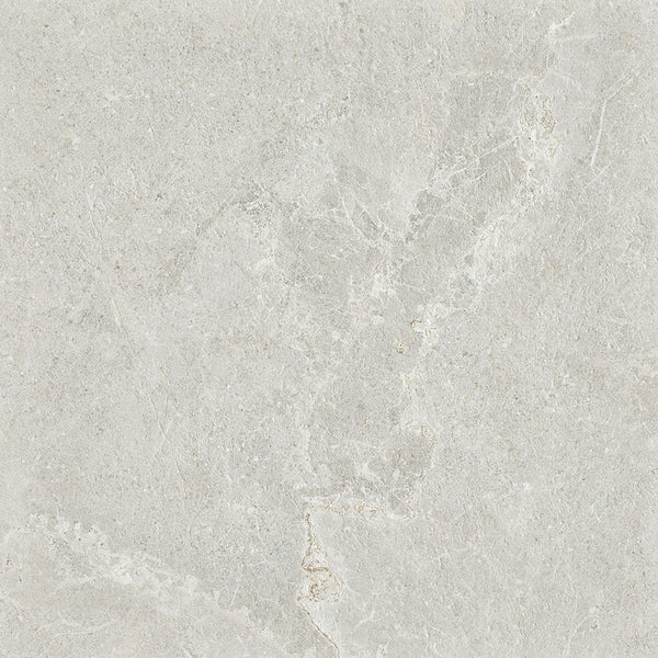 6ARDLGH ADLH6023 ARDESIA LIGHT GREY HONED 600X600