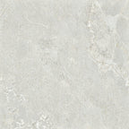 GNS Tile 6ARDSVH ADSH6021 ARDESIA SILVER HONED 600X600