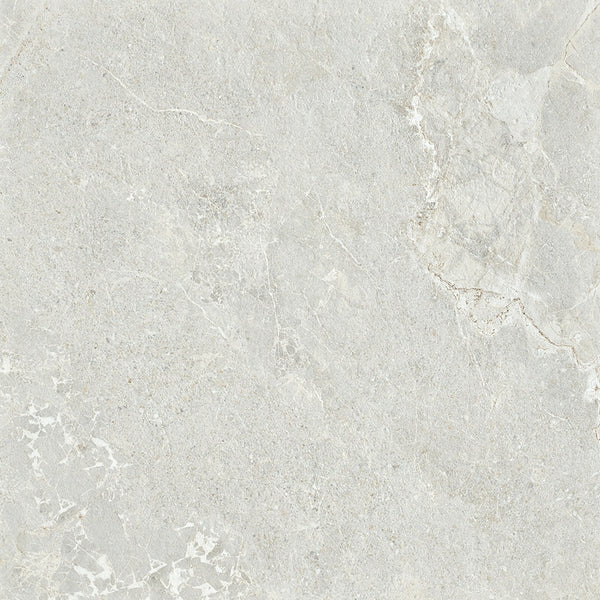6ARDSVH ADSH6021 ARDESIA SILVER HONED 600X600