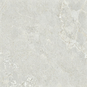 6ARDSVX ADSS6021 ARDESIA SILVER EXTERNAL P5 600X600
