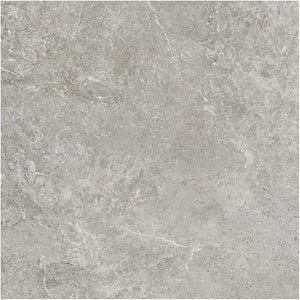 6ATUGYM 60ST07R ARCTIC TUNDRA GREY MATT P3 600X600