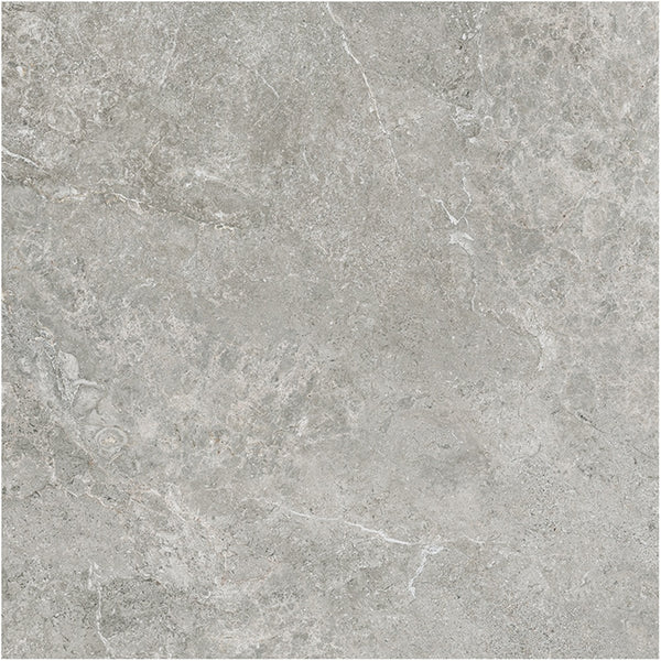 6ATUGYM 60ST07R ARCTIC TUNDRA GREY MATT P3 600X600