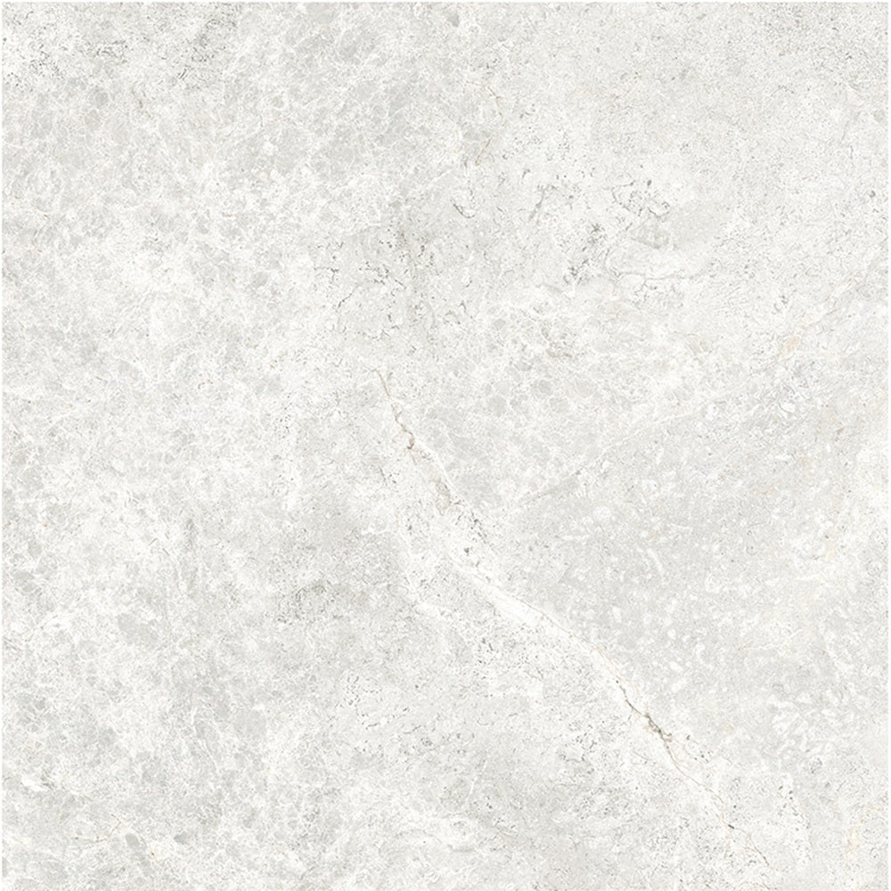 6ATUWHM 60ST01R ARCTIC TUNDRA WHITE MATT P3 600X600