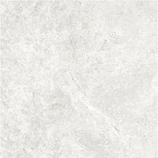 6ATUWHM 60ST01R ARCTIC TUNDRA WHITE MATT P3 600X600