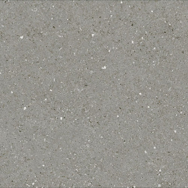 VICTILES Tile 6PDBGYM  PRIME DOUBLE LIGHT GREY MATT 600X600