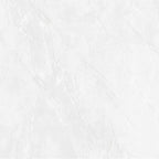 VICTILES Tile 6PEVWHP  PRIME EVE WHITE POLISHED 600X600