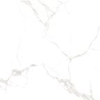 VICTILES Tile 6PMKWHP  PRIME MARKOVA WHITE POLISHED 600X600