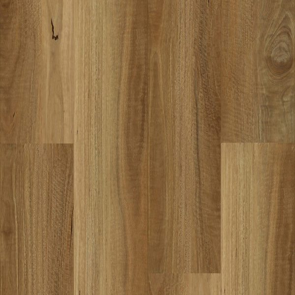 STONECORE Hybrid Signatural Collection 1545*228*9mm - SPC9101 NSW Spotted Gum