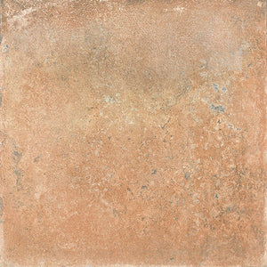 HERAVM	250X250 HEREDAD AVENA