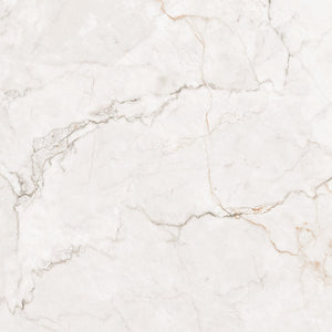 ADORE Grey 600X600mm MATT SMOOTH GRIP