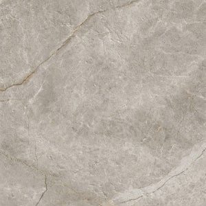 ADORE Taupe 600X600mm MATT SMOOTH GRIP