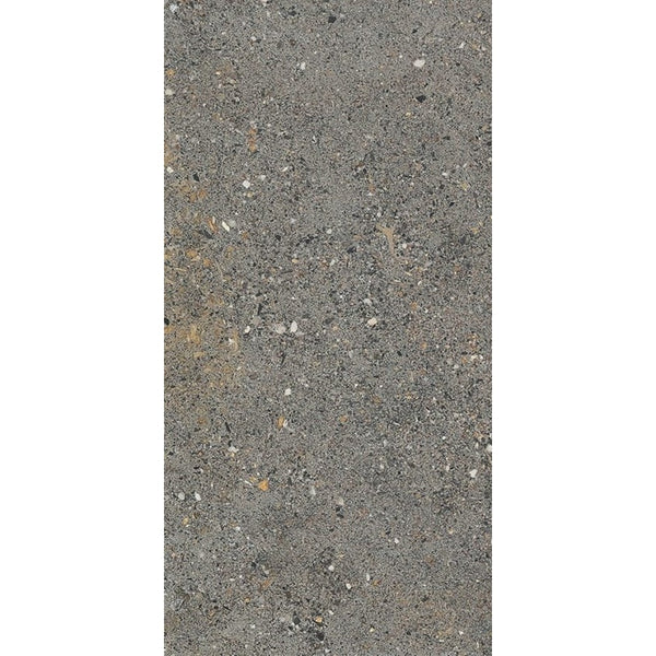 AGGREGATE DARK GREY 300X600 MATT SMOOTH GRIP