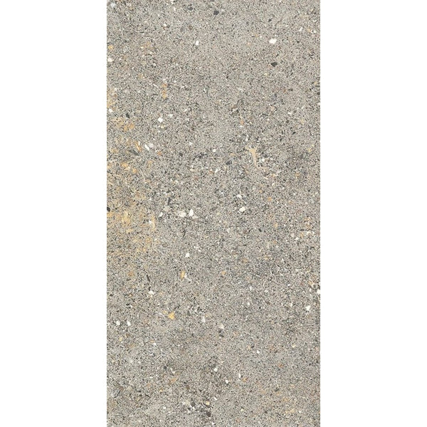 AGGREGATE LIGHT GREY 300X600 MATT SMOOTH GRIP