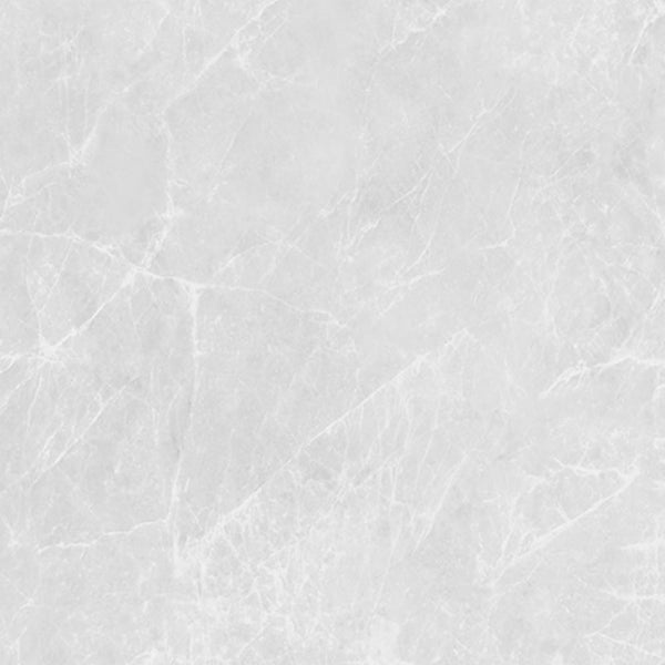 EV Tile GP-AP-CLF6060M Alpine Cliff  600x600x10 Matt
