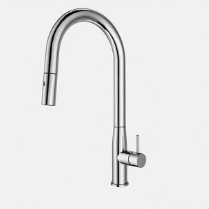 C-1SKMBN Navona Carysil Slim Brushed Nickel Pull Out Kitchen Mixer