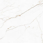 THEO DI Tile Segesta Bianco Honed 600x600mm