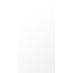 Victiles Tile DUA BIA36G	DUALTECH BIANCO 300X600 GLOSS