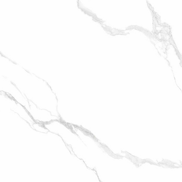 T/ILMACAM6060 ENTIVA ILLINOIS CARRARA MATT 600*600mm REC.