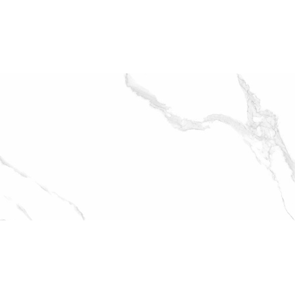 T/ILMACAM3060 ENTIVA ILLINOIS CARRARA MATT 300*600mm REC.