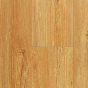 Floortex 8MM PINACO DELICATION LAMINATE FLOORING - P802 Kinawa