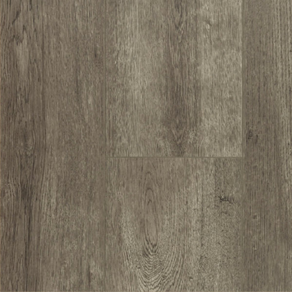 Floortex 8MM PINACO DELICATION LAMINATE FLOORING - P809 Carbo