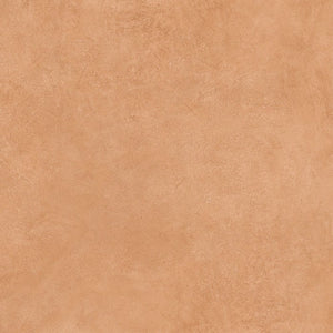 DMG0003 ART SERIES TERRA MATT 600X600MM SN6018ND