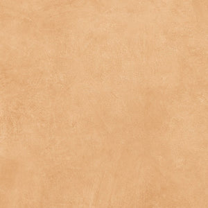 DMG0004 ART SERIES SAND MATT 600X600MM SN6017ND