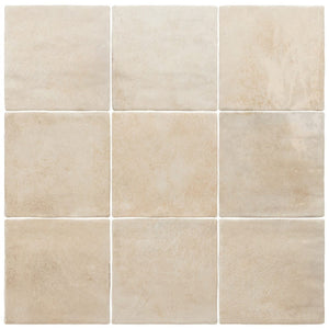 DSS Tile EQU0120 VERTICALE HOME GLOSS 100X100MM 31873