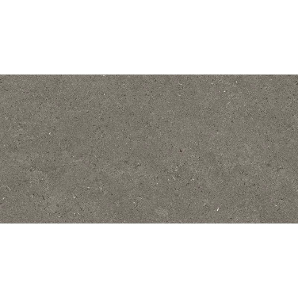 VL Tile Entiva Spark Charcoal Matt Concrete Look Tile 300x600mm