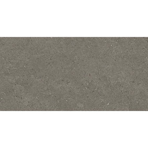 VL Tile Entiva Spark Charcoal Matt Concrete Look Tile 300x600mm