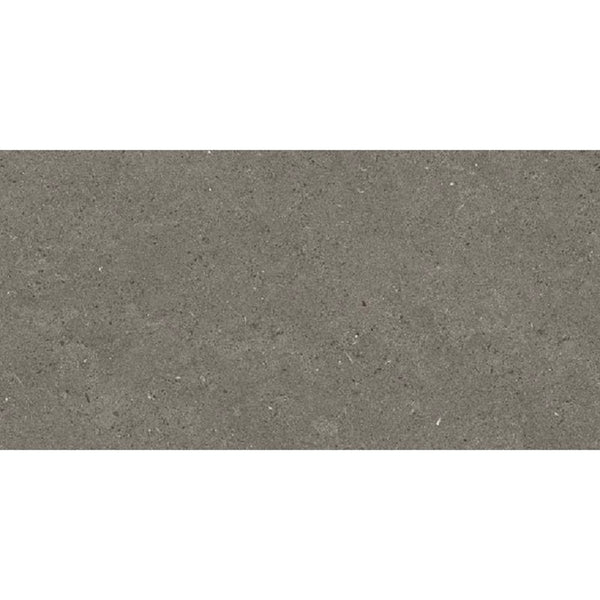 VL Tile Entiva Spark Charcoal Matt Concrete Look Tile 300x600mm