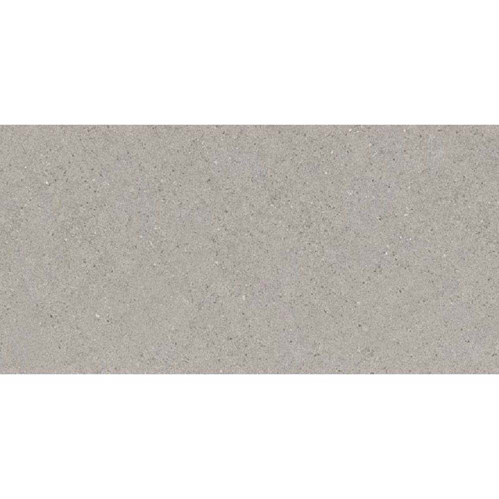 VL Tile Entiva Spark Grey Matt Concrete Look Tile 300x600mm