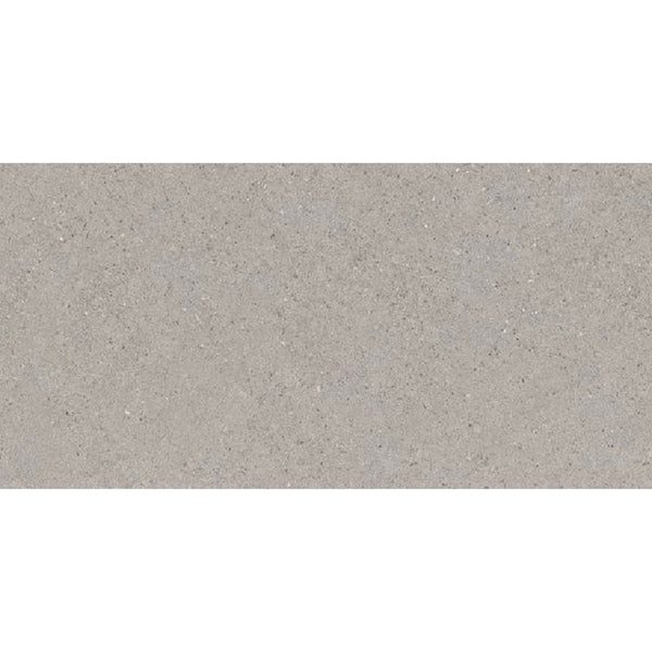 VL Tile Entiva Spark Grey Matt Concrete Look Tile 300x600mm