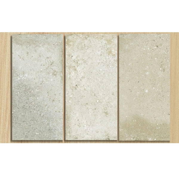 VL Tile T/BECRM231	ESTUDIO BENASAL CRUDO P5 MATT 115*231*9MM