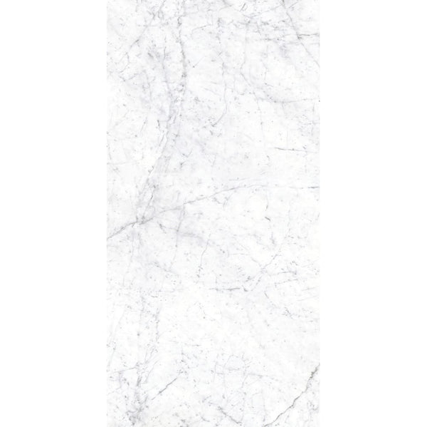 EV Tile Euromarmo Carrara Venatino Honed Glazed Stone Look Tile 600x1200mm