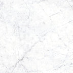 EV Tile Euromarmo Carrara Venatino Polished Glazed Stone Look Tile 600x600mm
