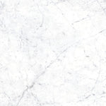 Euromarmo Carrara Venatino Honed Glazed Stone Look Tile 600x600mm