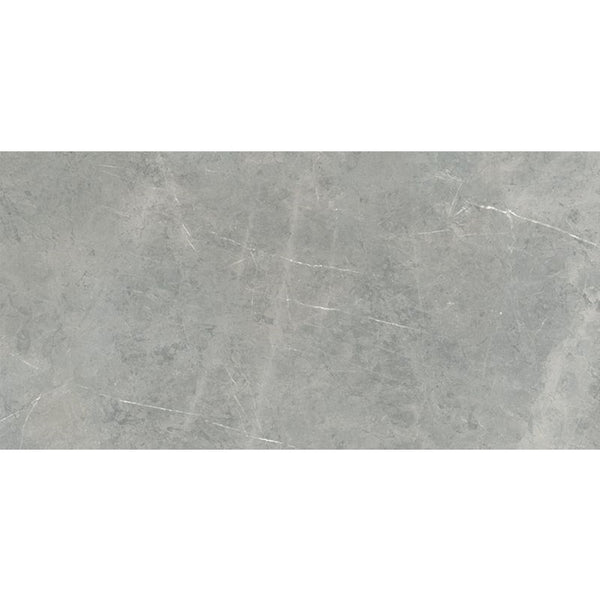 T/SEGAPM0120 Flaviker Evo Grey Amani Matt 600*1200mm REC.