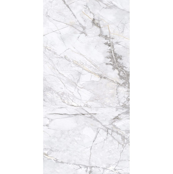 EV Tile GP-EL-ING12060N Elite Marble Invisible Grigio  600x1200 Natural