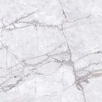 EV Tile GP-EL-ING6060M Elite Marble Invisible Grigio 600x600 Matt
